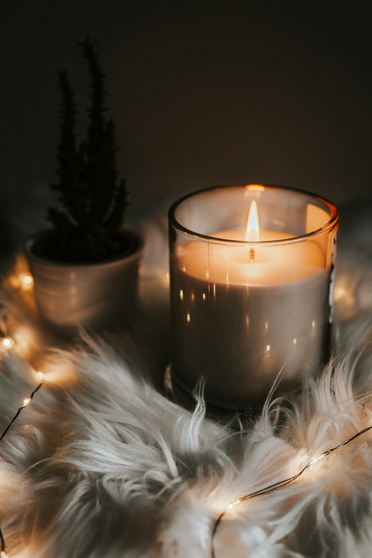 Coconut Soy Candle